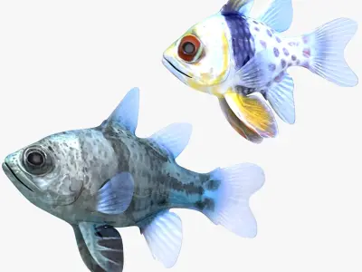  Orbiculate and Spotted Cardinalfish 