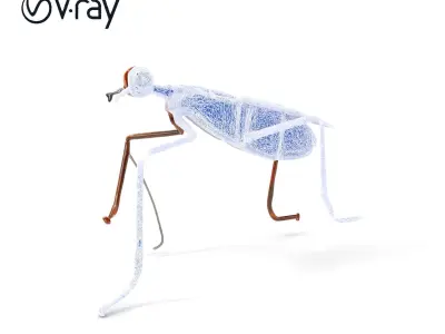 Realistic Insect Model Pack  Detailed and Versatile Low-poly 3D model