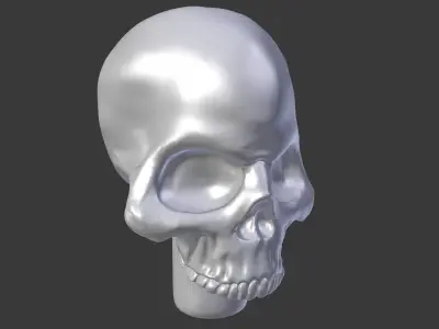 skull Free 3D print model