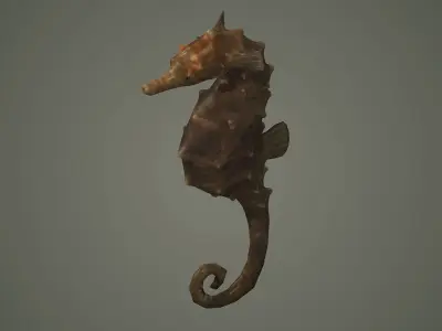 seahorse sea horse fish aquarium hippocampus seahorses  3D model