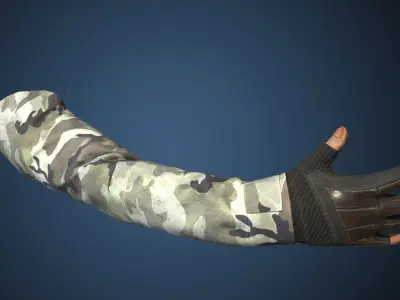 First Person View Hands Low-poly 3D model