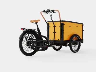 ECargo Squared Bike Low-poly 3D model