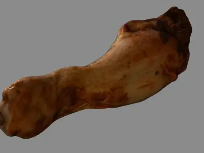 Chicken Leg Low-poly 3D model