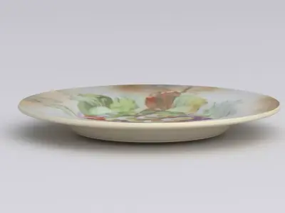 Antique and vintage plate v5 3D model