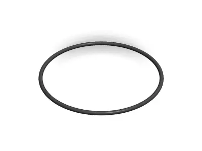 O Ring Vedabras 12345 3D model