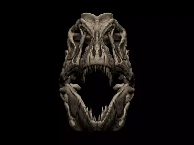 Lythronax Skull 3D print model