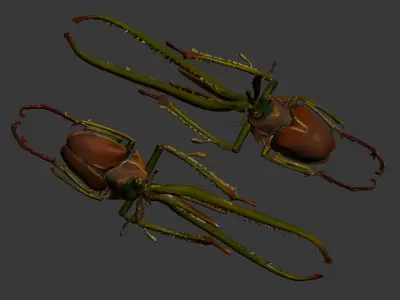 Insect 3D model 3