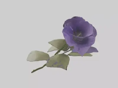 Canterbury Bell model Low-poly 3D model