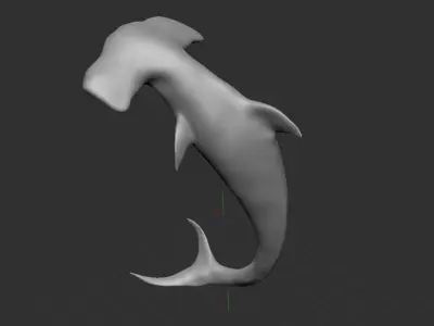 3D Hammer Shark 3D model