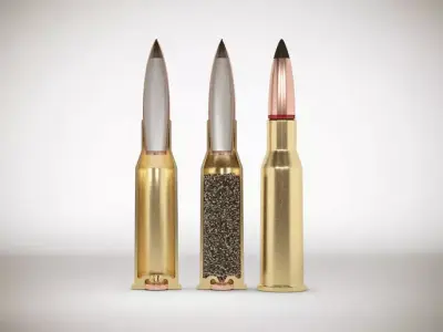 Structure of bullet  3D model