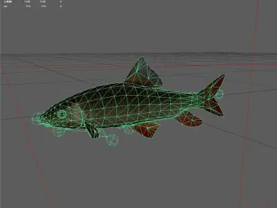 Carp fish Low-poly 3D model