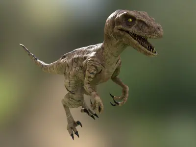 Velociraptor Low-poly 3D model purchase