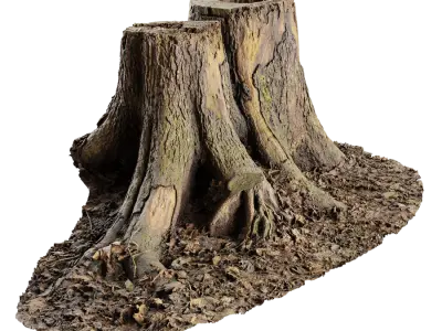  Short Cut Forest Twin Tree Stump Model 