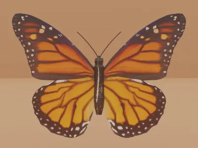 Monarch Butterfly Low-poly 3D model