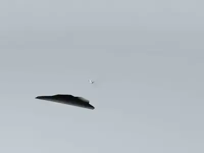 Airica Airlines Flight 623 Free 3D model