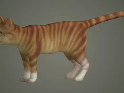 cats siamese tabby orange kitty animals puppy cat mammal  3D model