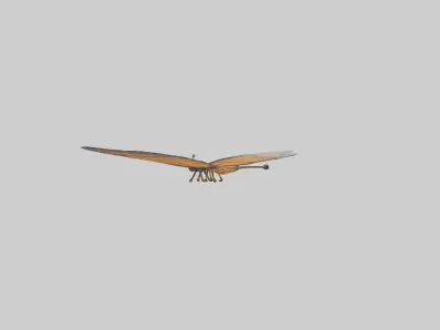 Monarch Butterfly flying model 3D model