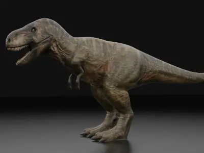 tyrannosaurus rex dinosaur 3d model  3D model