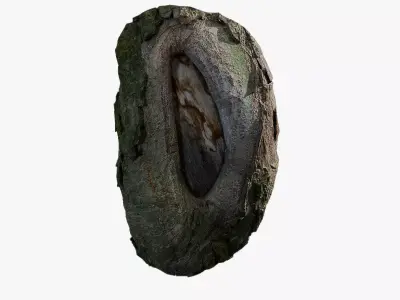 Anydrafts Salix matsudana Burl 04 Low-poly 3D model