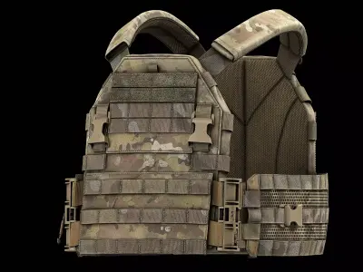 TYR Tactical PICO DSX Assaulter Plate Carrier V1 Low-poly 3D model
