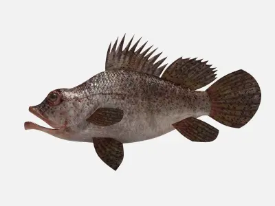 Scorpion fish Scorpen-2 Low-poly 3D model