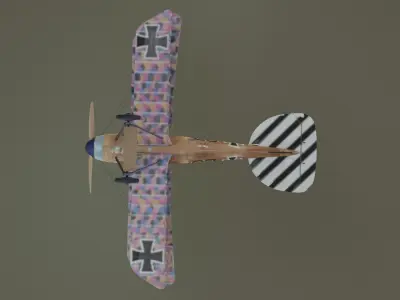 Albatros  Low-poly 3D model