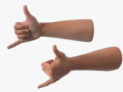 Male Arm Pair with Shaka Gesture 3D model