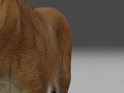 Lioness two lions Low-poly 3D model