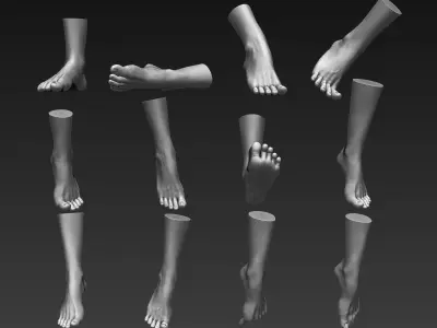 12 Female Feet 3D model