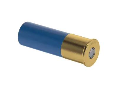 Bullet 16 GAUGE Low-poly 3D model
