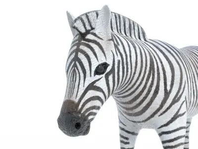 Zebra 3D Model Low-poly 3D model