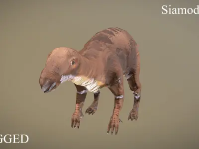 Thai Dinosaur Siamodon Low-poly 3D model