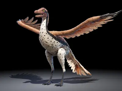 Dinopack Flying Static 3D model