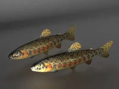 Fish Series 02 Low-poly 3D model