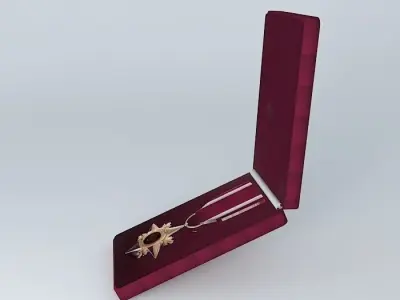 Star of Military Valour Canada Second Highest Award Free 3D model
