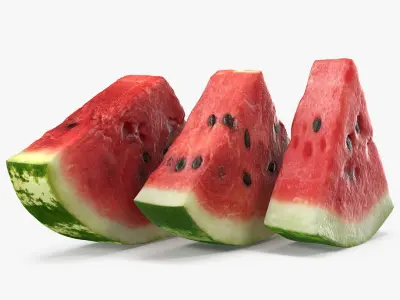 Sliced Watermelon Collection 3D model