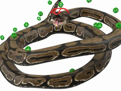 Brown Python Snake Rigged 3D Model