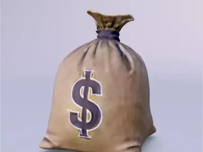 3D Bag Money 3D model