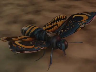 Detailed 3D Model of a Monarch Butterfly 3D model