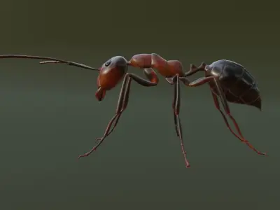 RedAnt 3d ant Low-poly 3D model