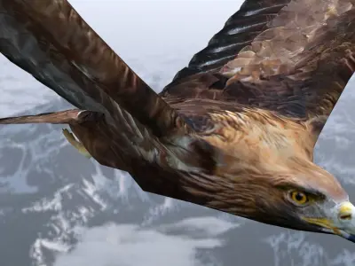 Animated low poly eagle Low-poly 3D model