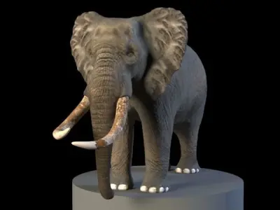 Elephant mammoth skull Low-poly 3D model
