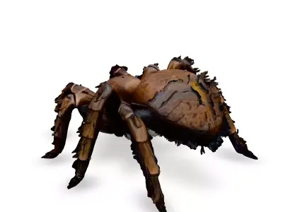 Realistic Huntsman Spider 3D Model Low-poly 3D model