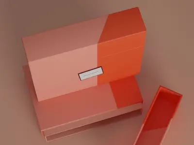 Box package model 3D model