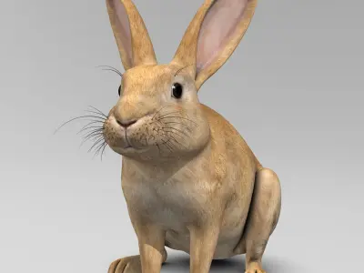 Rabbit Brown 3D model