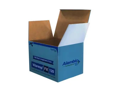 Box Cardboard Low-poly 3D model