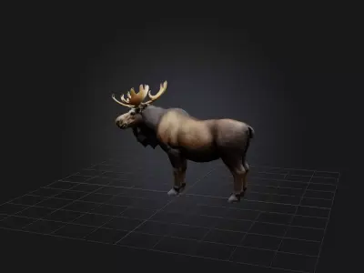 Realistic Moose Model Low-poly 3D model