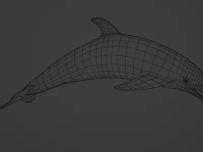Shiny Dolphin 3D model