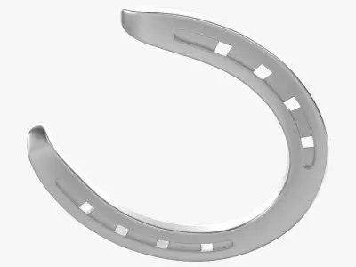 Horseshoe 1 3D model
