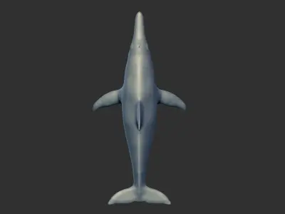 Prehistoric Dolpin 3D 3D model